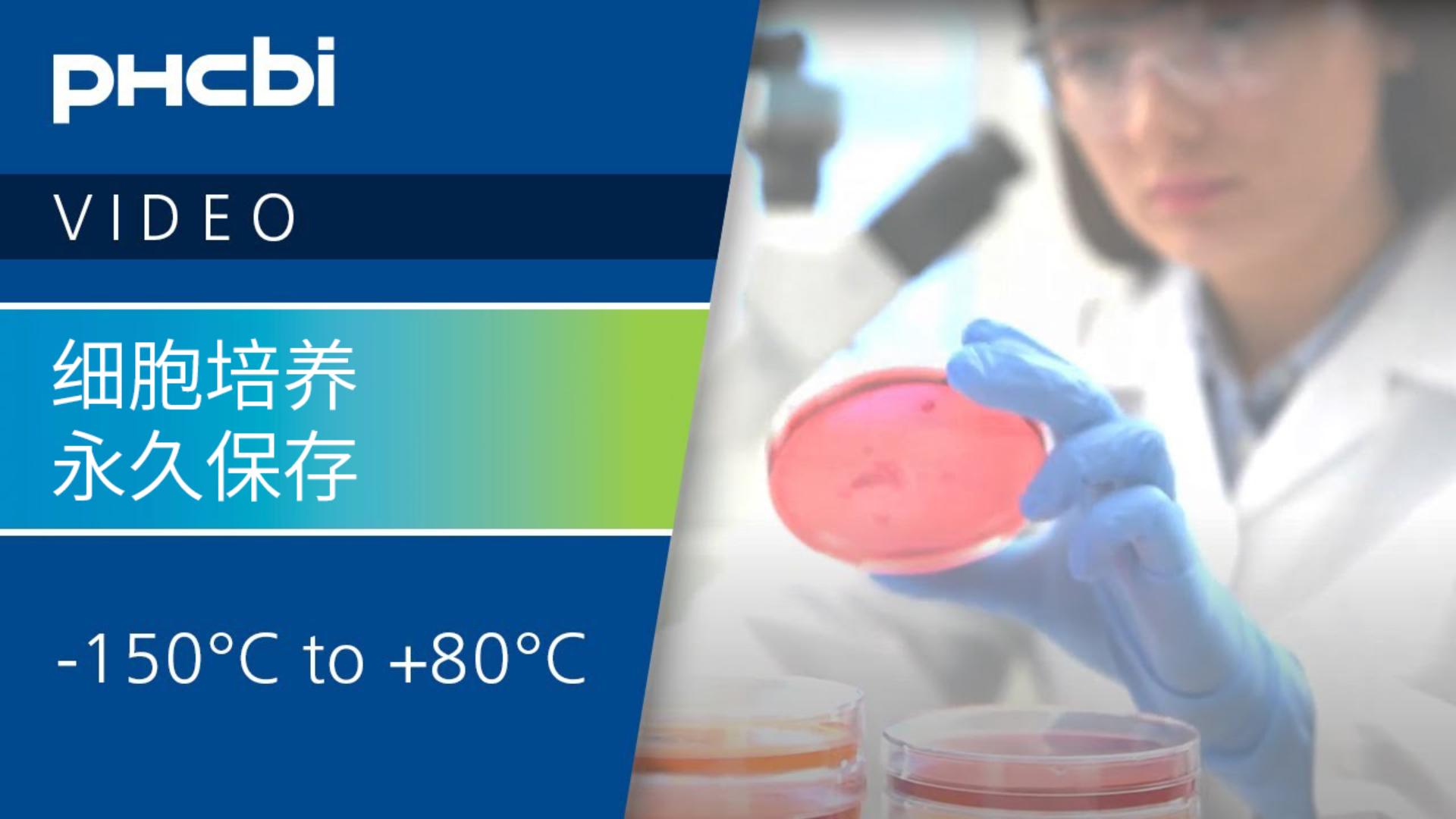 PHCbi 品牌產(chǎn)品可幫助您培養(yǎng)細(xì)胞并永久保存它們